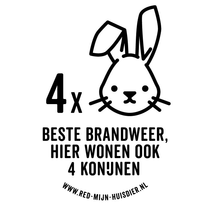 VIER KONIJNEN