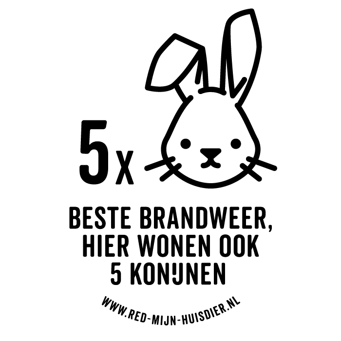 VIJF KONIJNEN