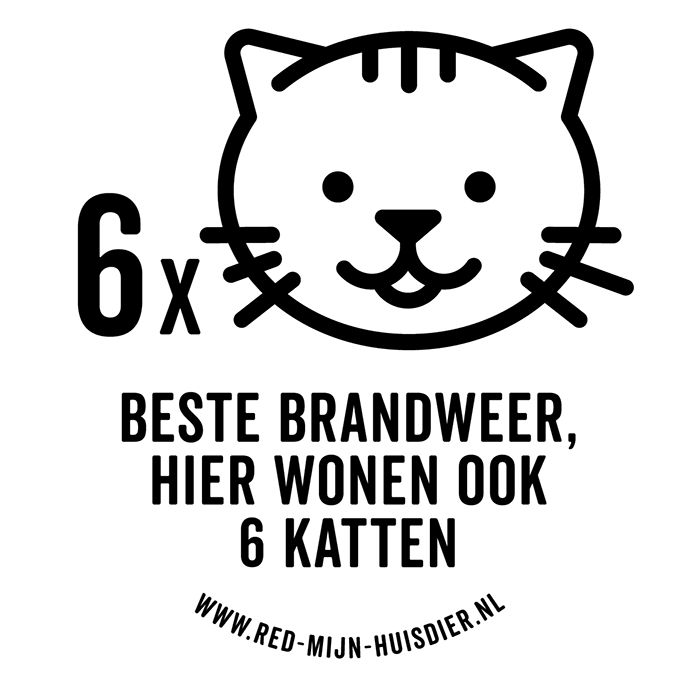 ZES KATTEN