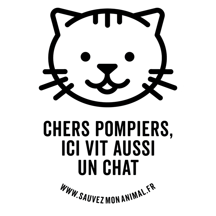 UN CHAT