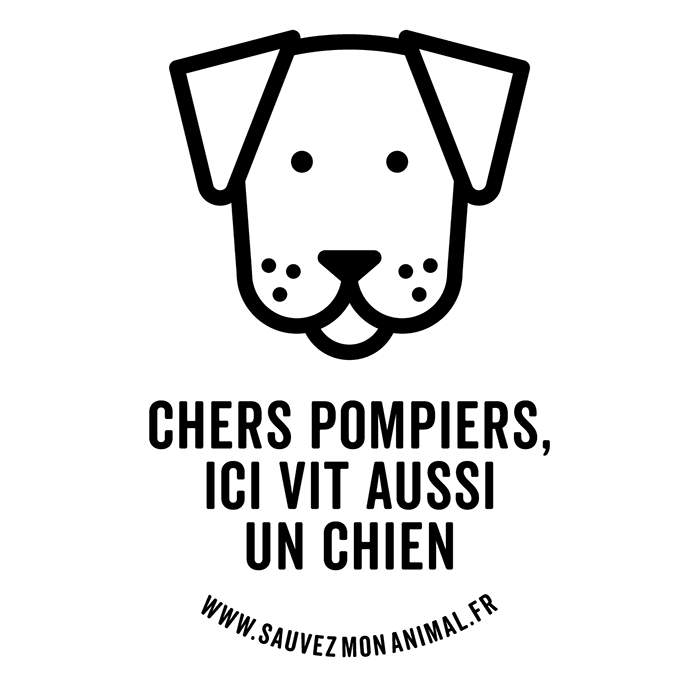 UN CHIEN