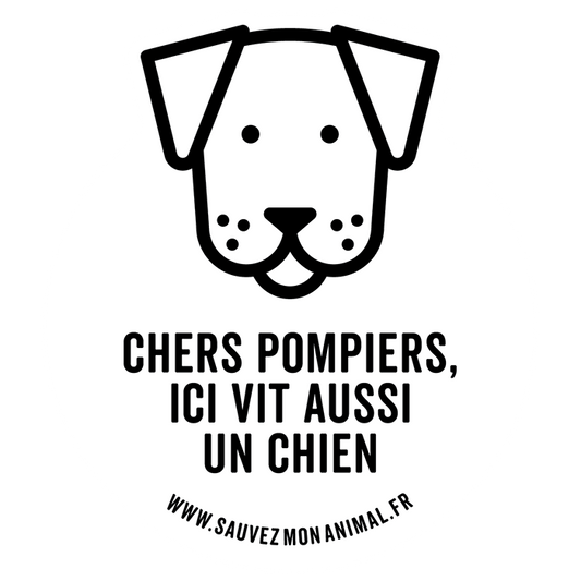 UN CHIEN