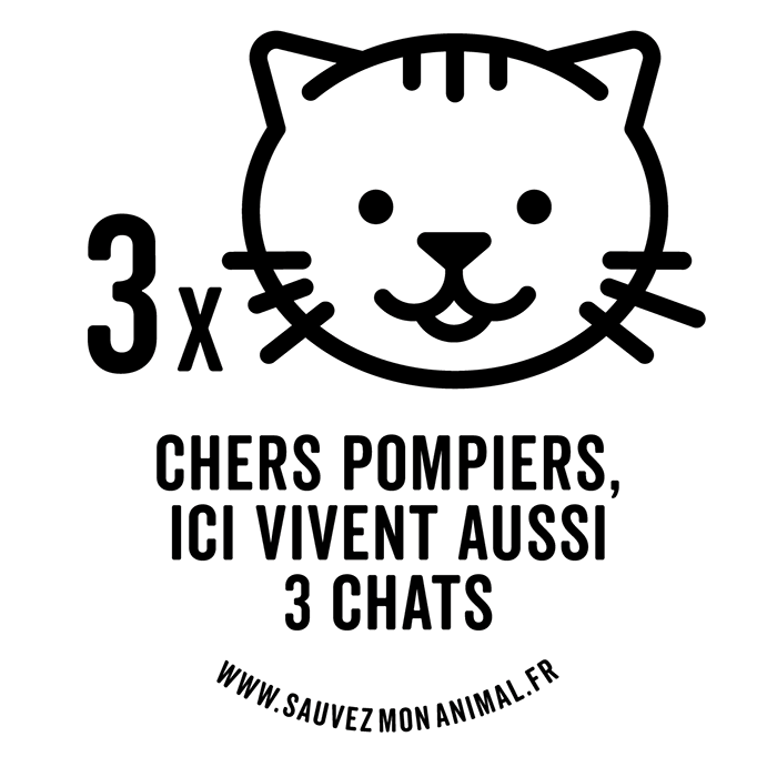 TROIS CHATS