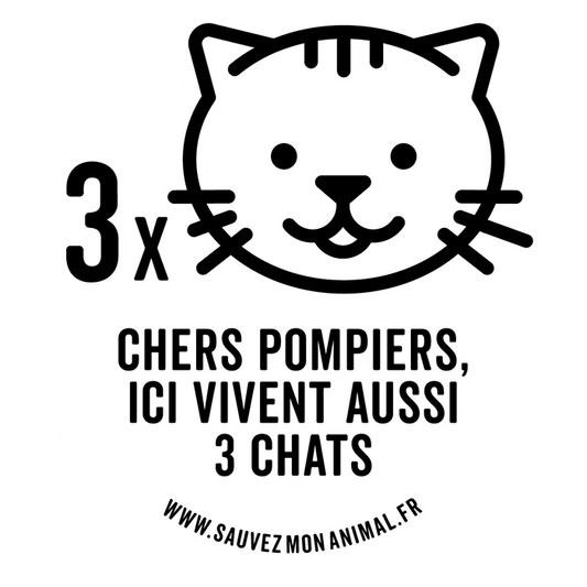 TROIS CHATS
