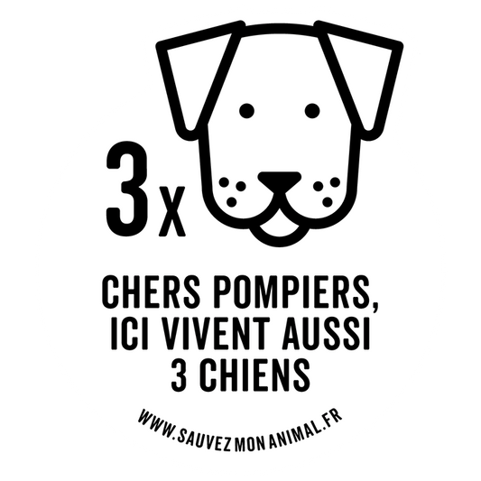 TROIS CHIENS