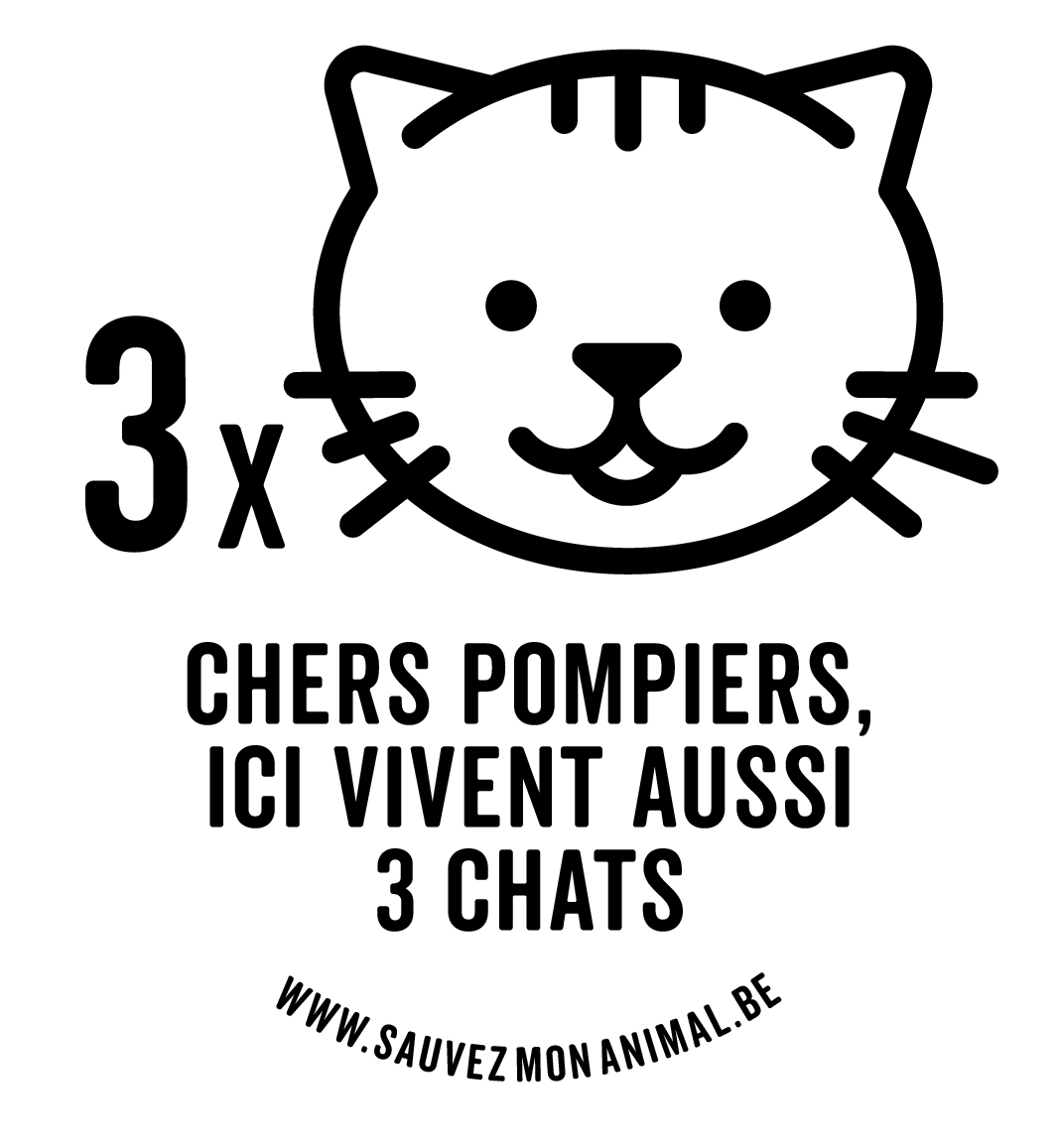 TROIS CHATS